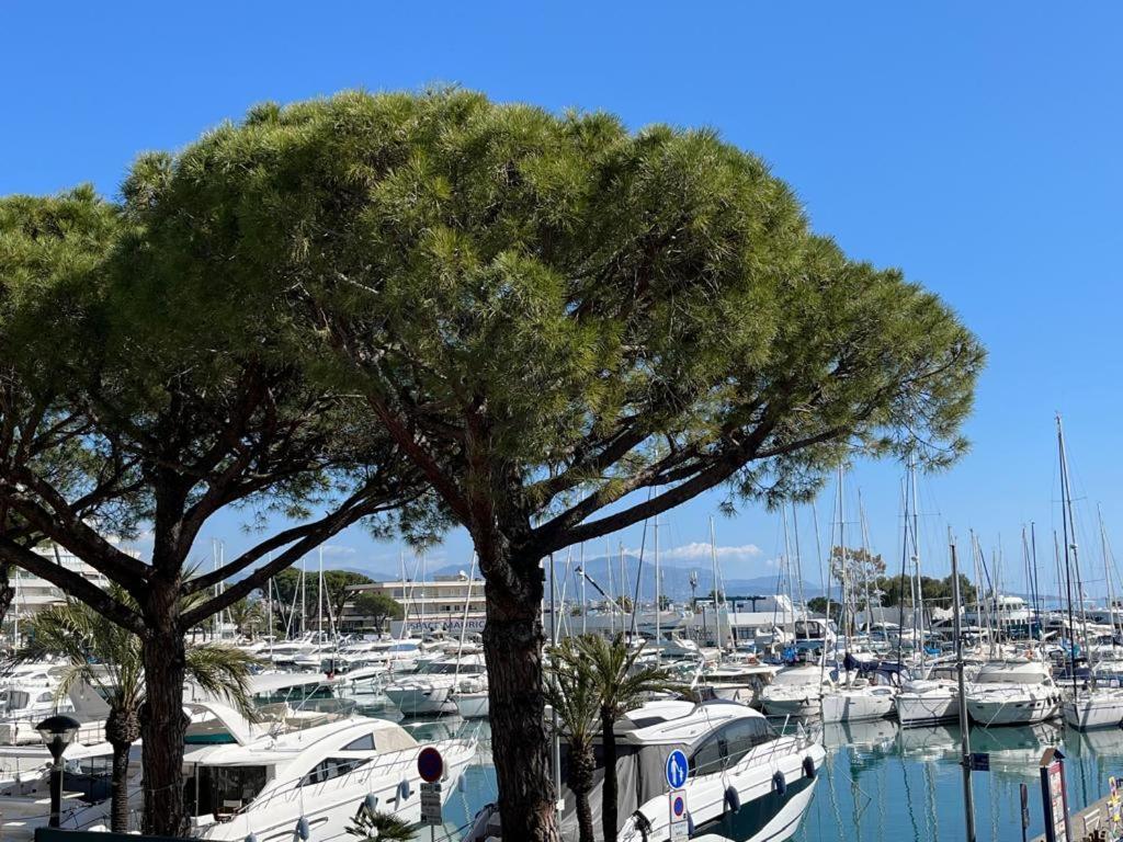 4 Pers , 100M De La Plage Marina Baie Des Anges French Riviera Villeneuve-Loubet Eksteriør bilde
